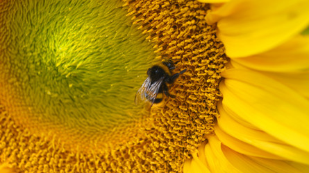 Similar image 790766