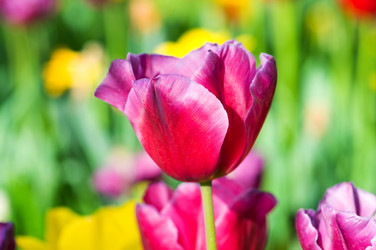 Similar image 790802