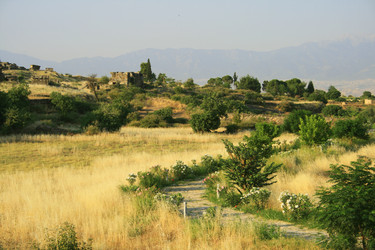 Similar image 790859