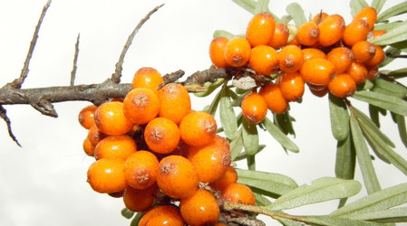 Similar image 790862