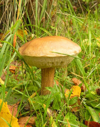 Similar image 790863