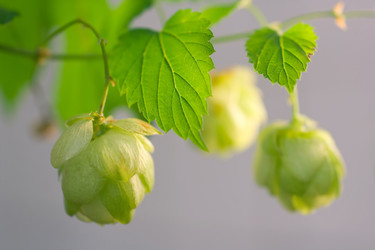 Similar image 790890