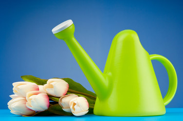 Similar image 790908