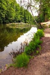 Similar image 790959