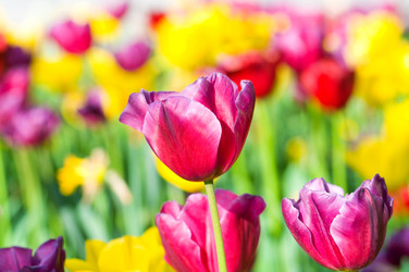 Similar image 790995