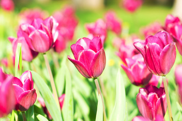 Similar image 790997