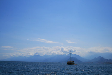 Similar image 791003