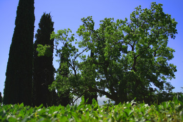 Similar image 791005