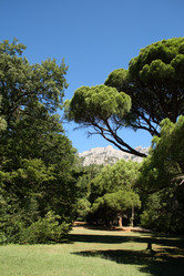 Similar image 791006