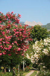 Similar image 791007