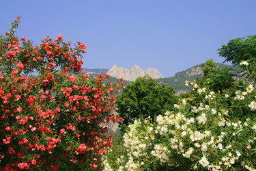 Similar image 791008