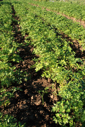 Similar image 791009