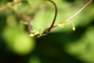 Similar image 791013