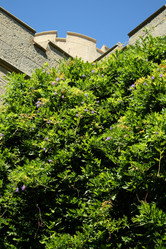 Similar image 791016