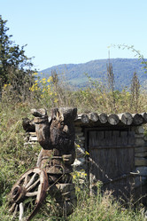 Similar image 791025