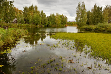 Similar image 791084