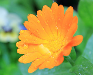 Similar image 791087