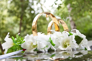 Similar image 791112