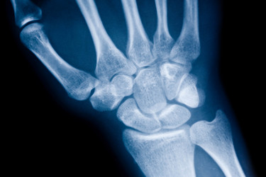 Similar image 791341