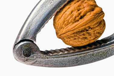 Similar image 791345