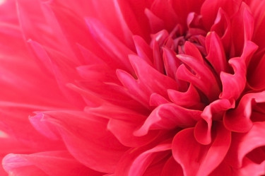 Similar image 791348