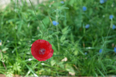 Similar image 791636