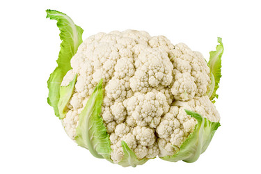 Similar image 791855