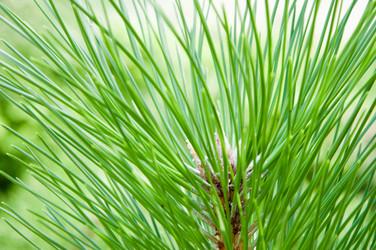 Similar image 791977