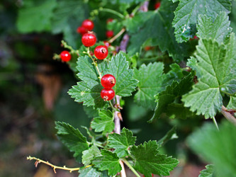 Similar image 791987