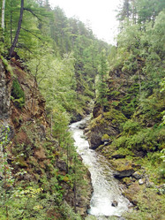 Similar image 792030