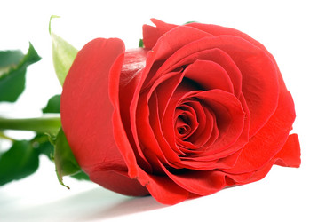 Similar image 792039