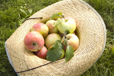 Similar image 792348