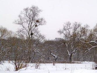 Similar image 792377