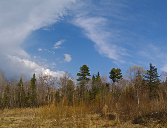 Similar image 792385