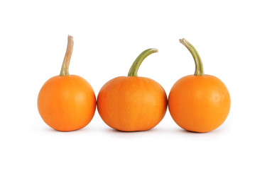 Similar image 792407