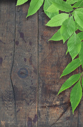 Similar image 792410