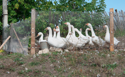 Similar image 792425