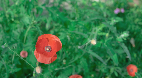 Similar image 792426