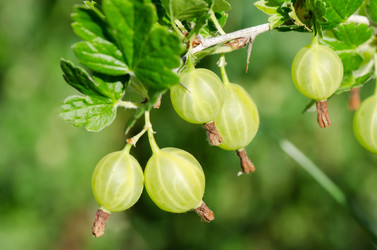 Similar image 792470