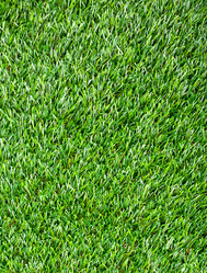 Similar image 792494