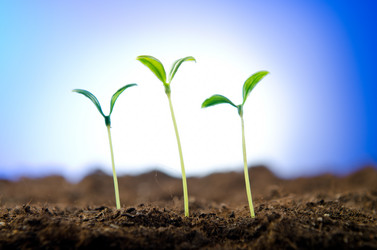 Similar image 792500