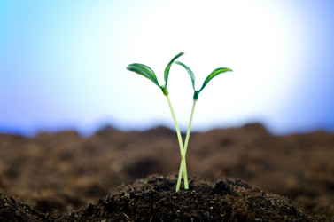 Similar image 792501