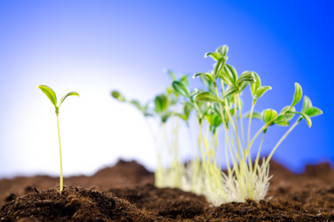 Similar image 792502