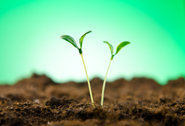 Similar image 792503