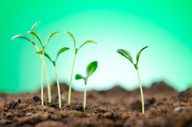 Similar image 792504