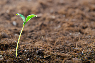 Similar image 792506