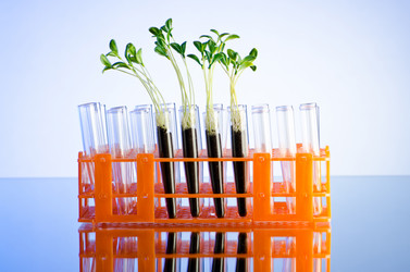 Similar image 792507