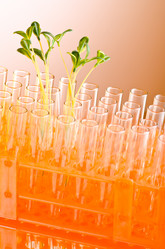 Similar image 792509