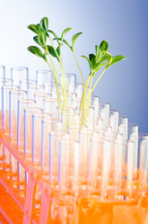 Similar image 792510