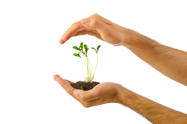 Similar image 792511